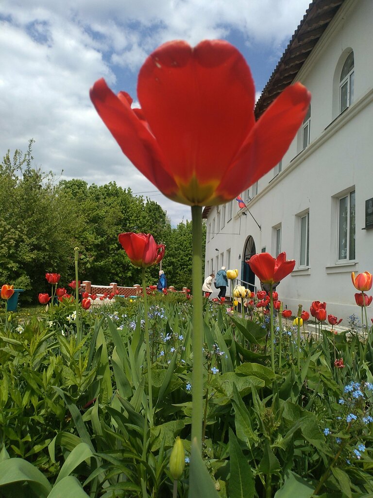 Hospital Центральная межрайонная больница № 5, Думиничская участковая больница, Kaluga Oblast, photo