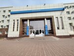 Inspection of the Federal Tax Service (Naberezhnye Chelny, Mira Avenue, 21), tax auditing