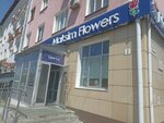 Maksim Flowers (Dikopol'tseva Street, 2), flower shop