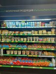 Vkusnositov (selo Troyelga, Sovetskaya ulitsa, 1), grocery