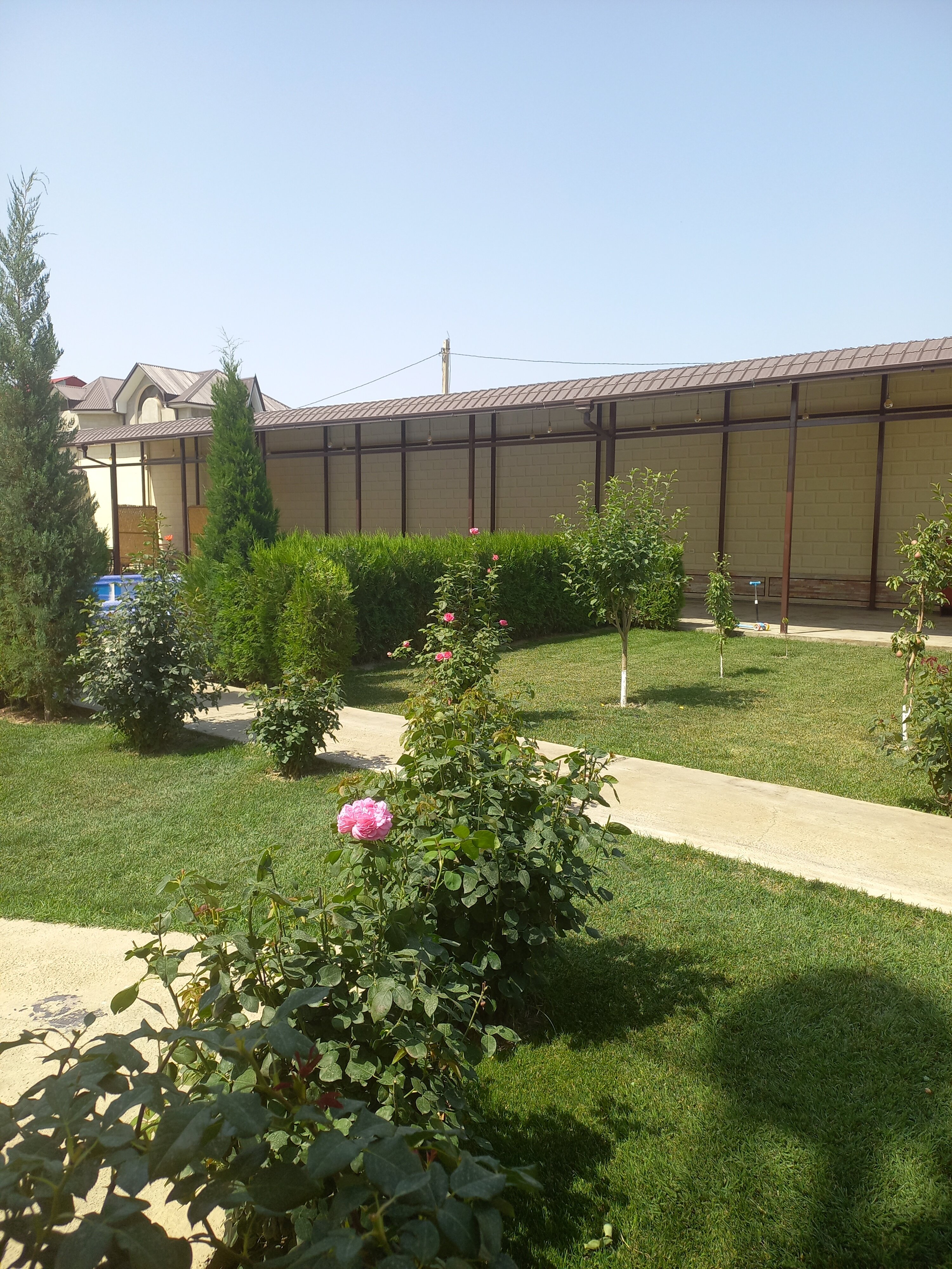 Фото Villa Oasis