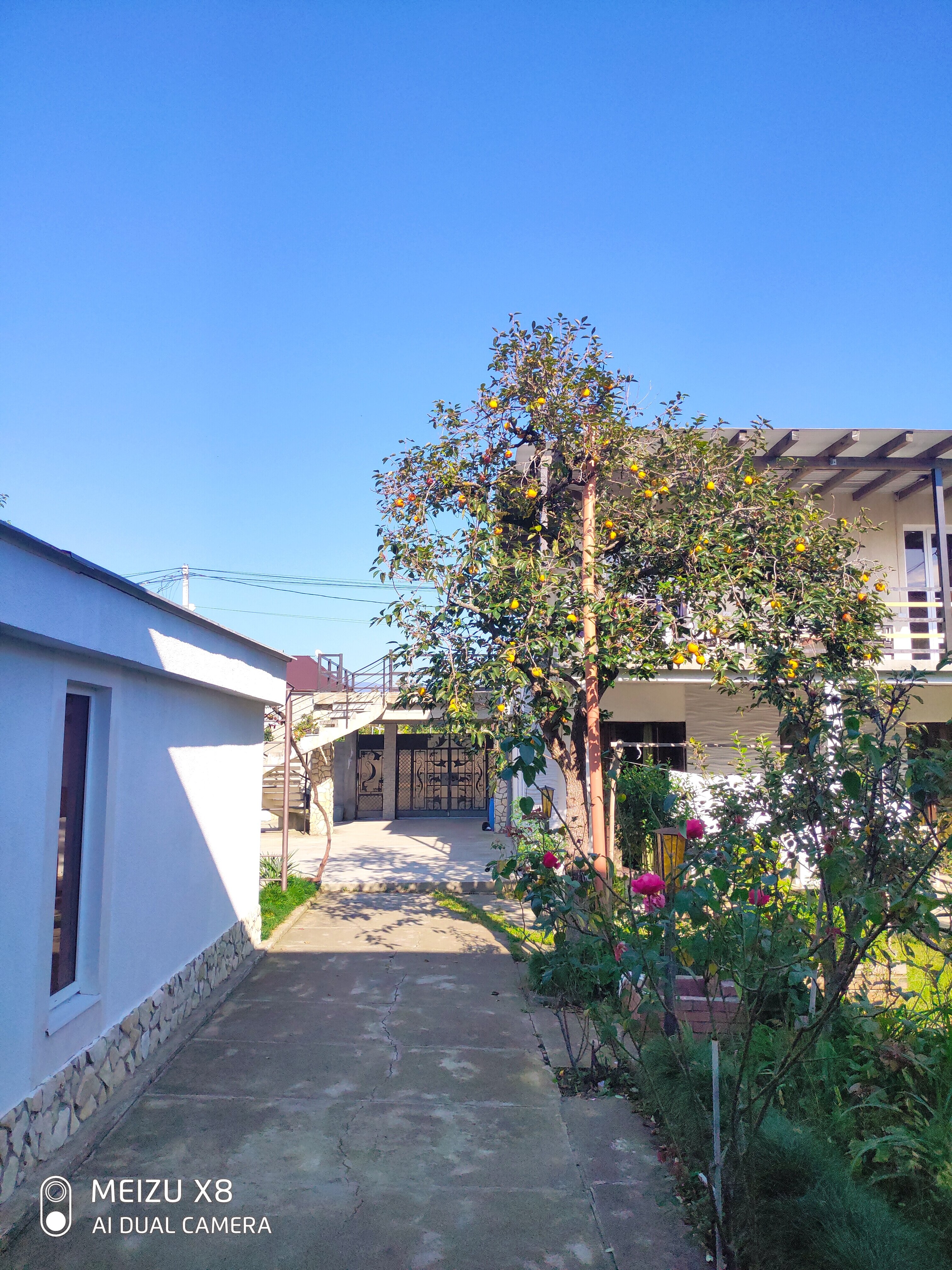 Фото Стефания