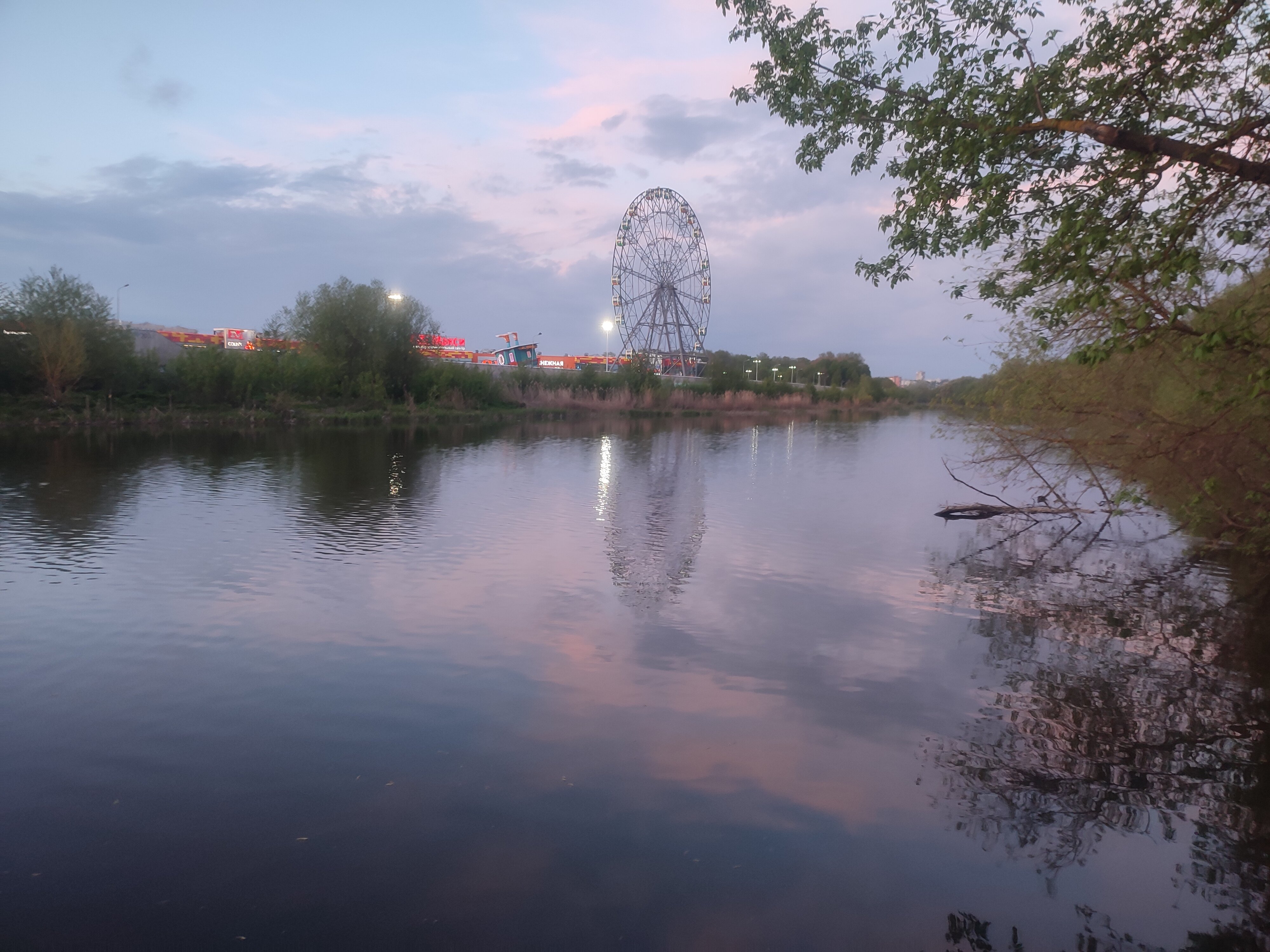 Фото Толстый кот