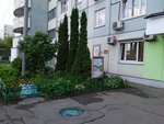 Серебряная нить (Новгородская ул., 38, Москва), одежда больших размеров в Москве