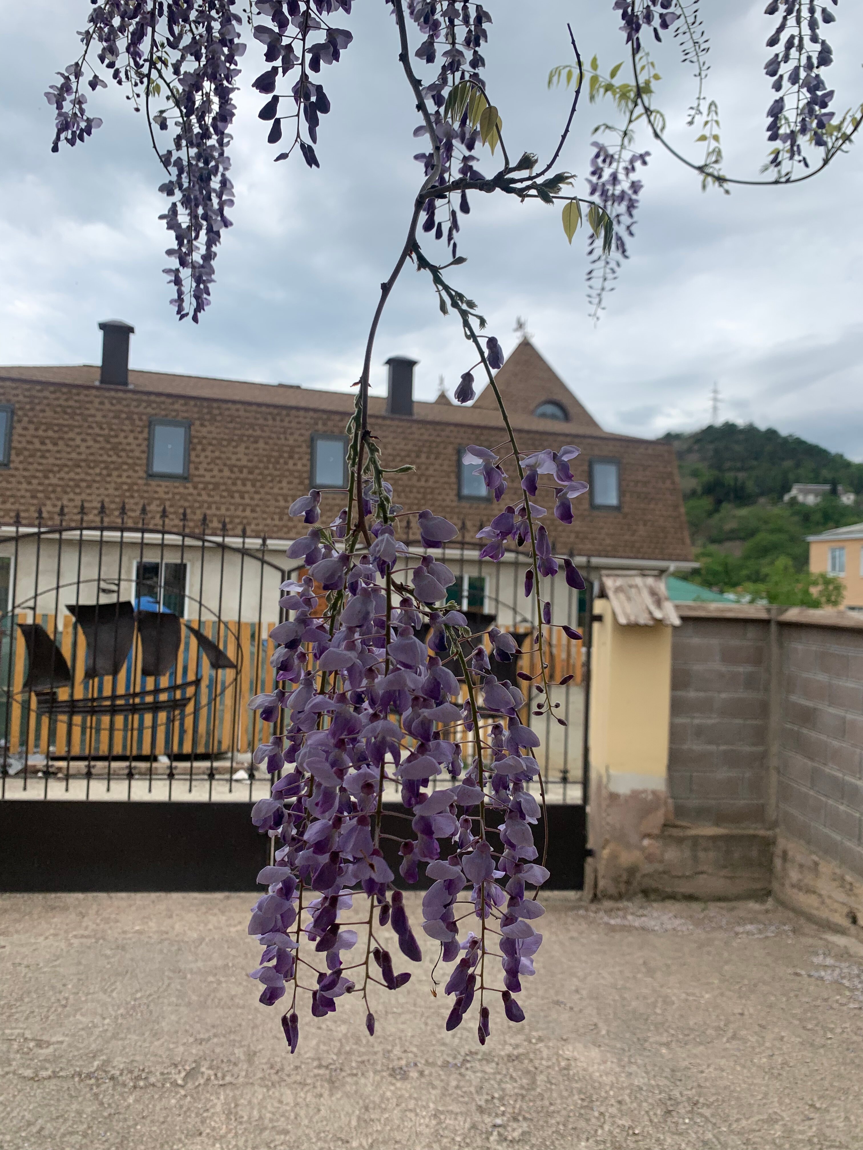 Фото Эспаньола