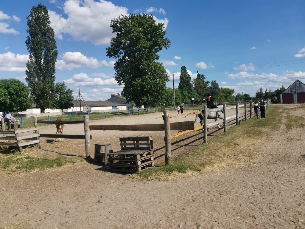 Horse riding Белая Русь, Brest District, photo