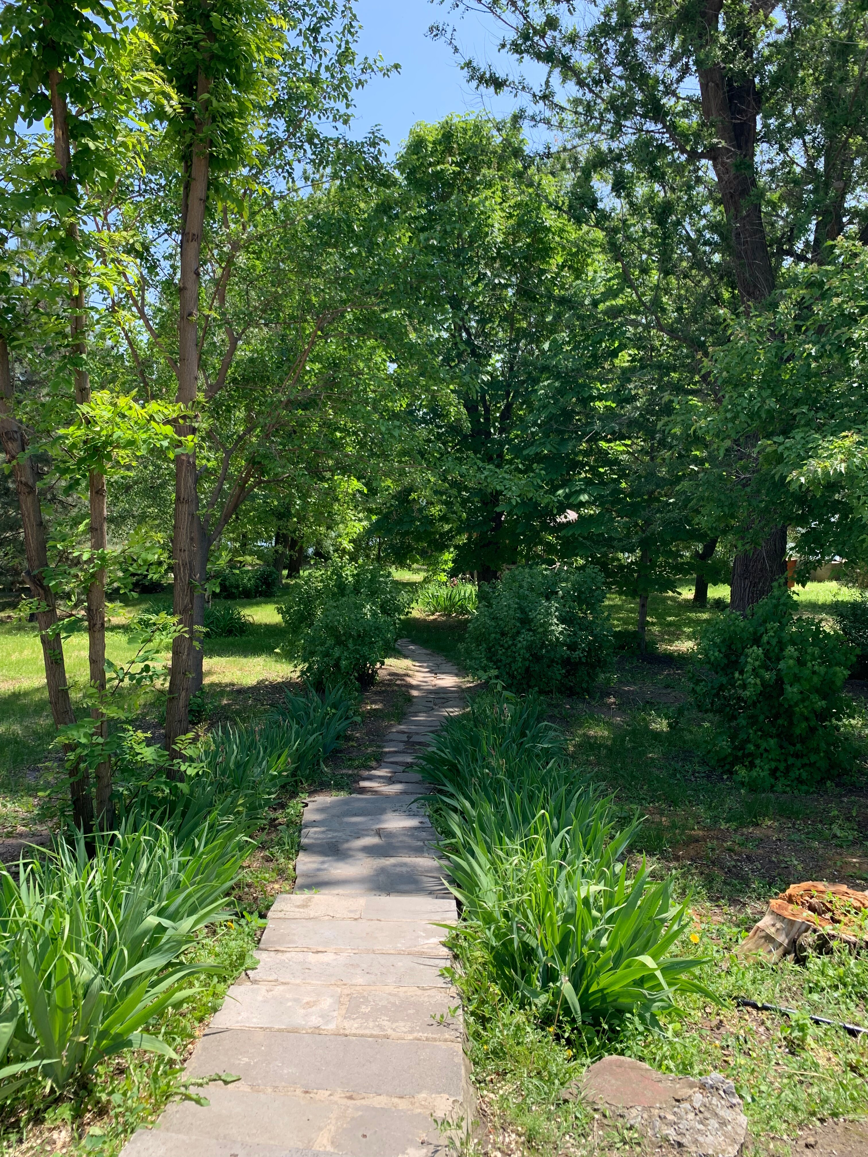 Фото Волжская Здравница