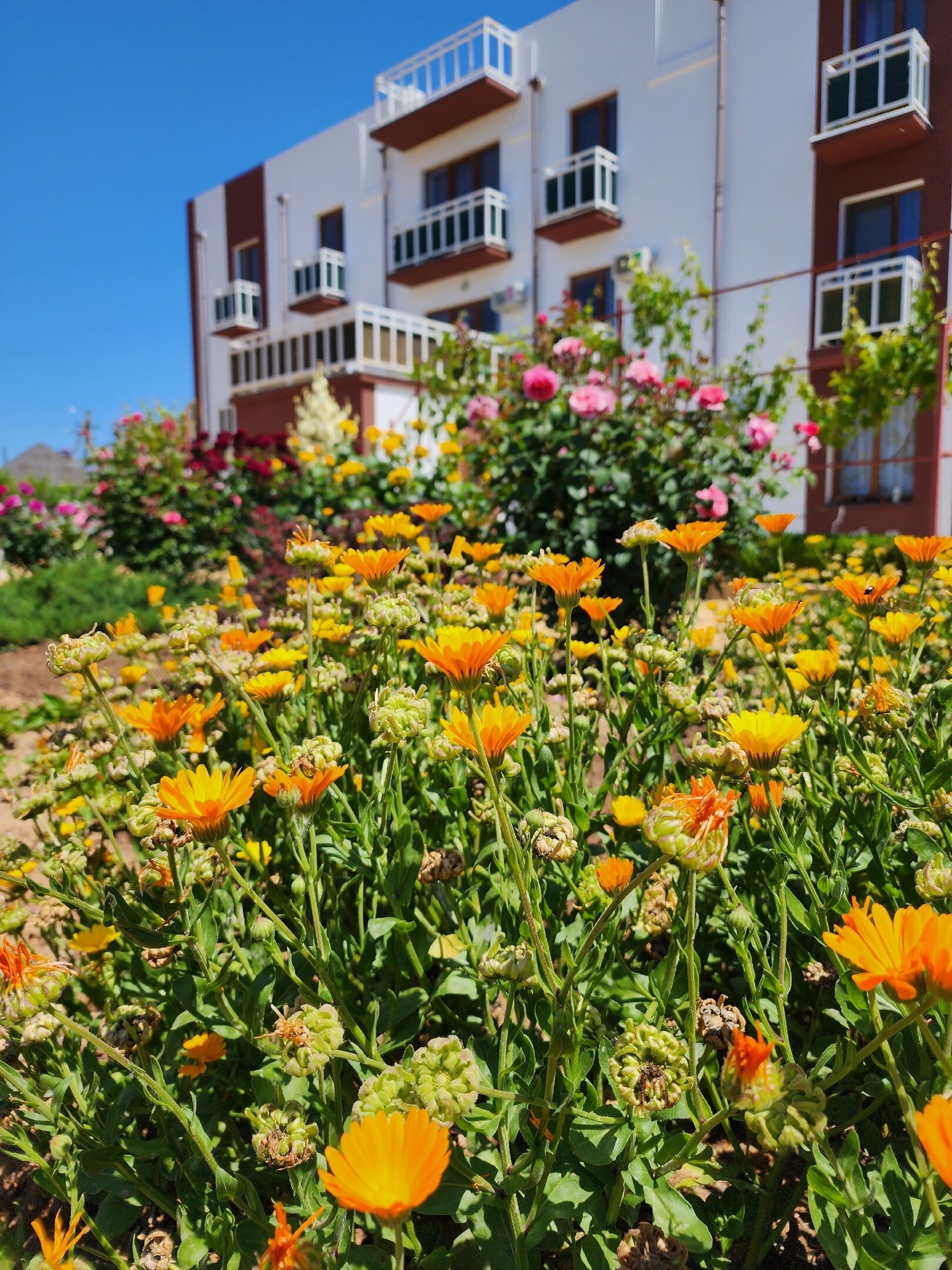 Фото Мерджан