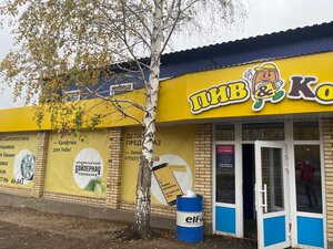 Bizhbulyak (selo Bizhbulyak, Tsentralnaya ulitsa, 103А), hotel