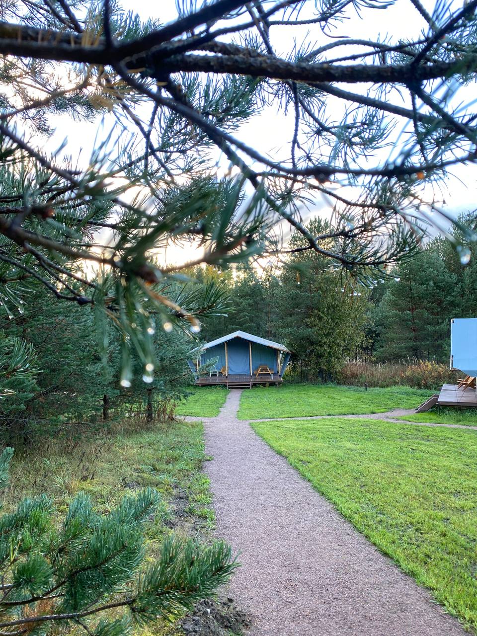 Фото Йети на комете