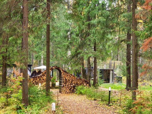 Гостиница Окна в лес