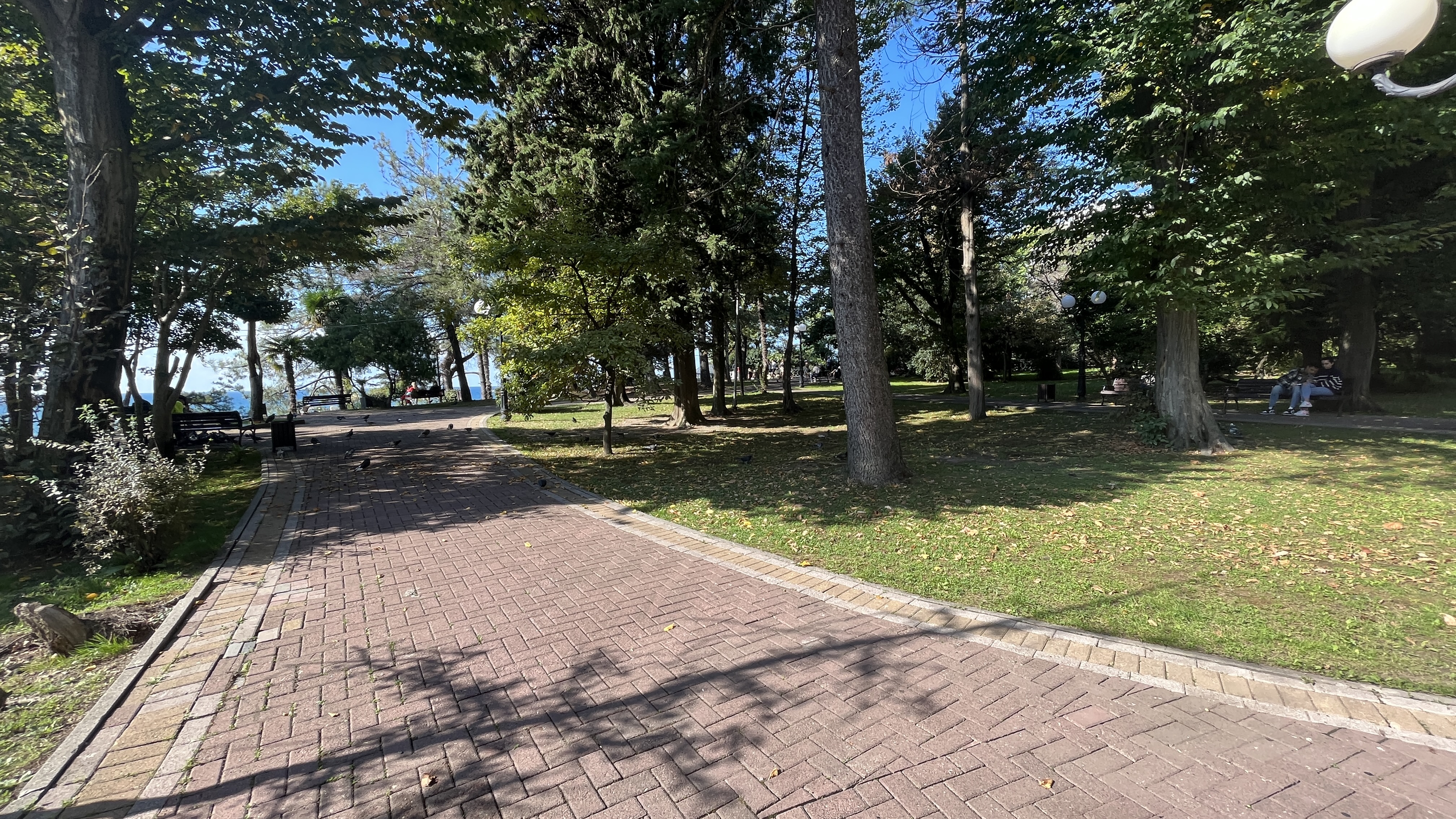 Фото Альфа Апартаменты