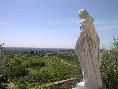 Гостиница Agriturismo Giorgio Colutta