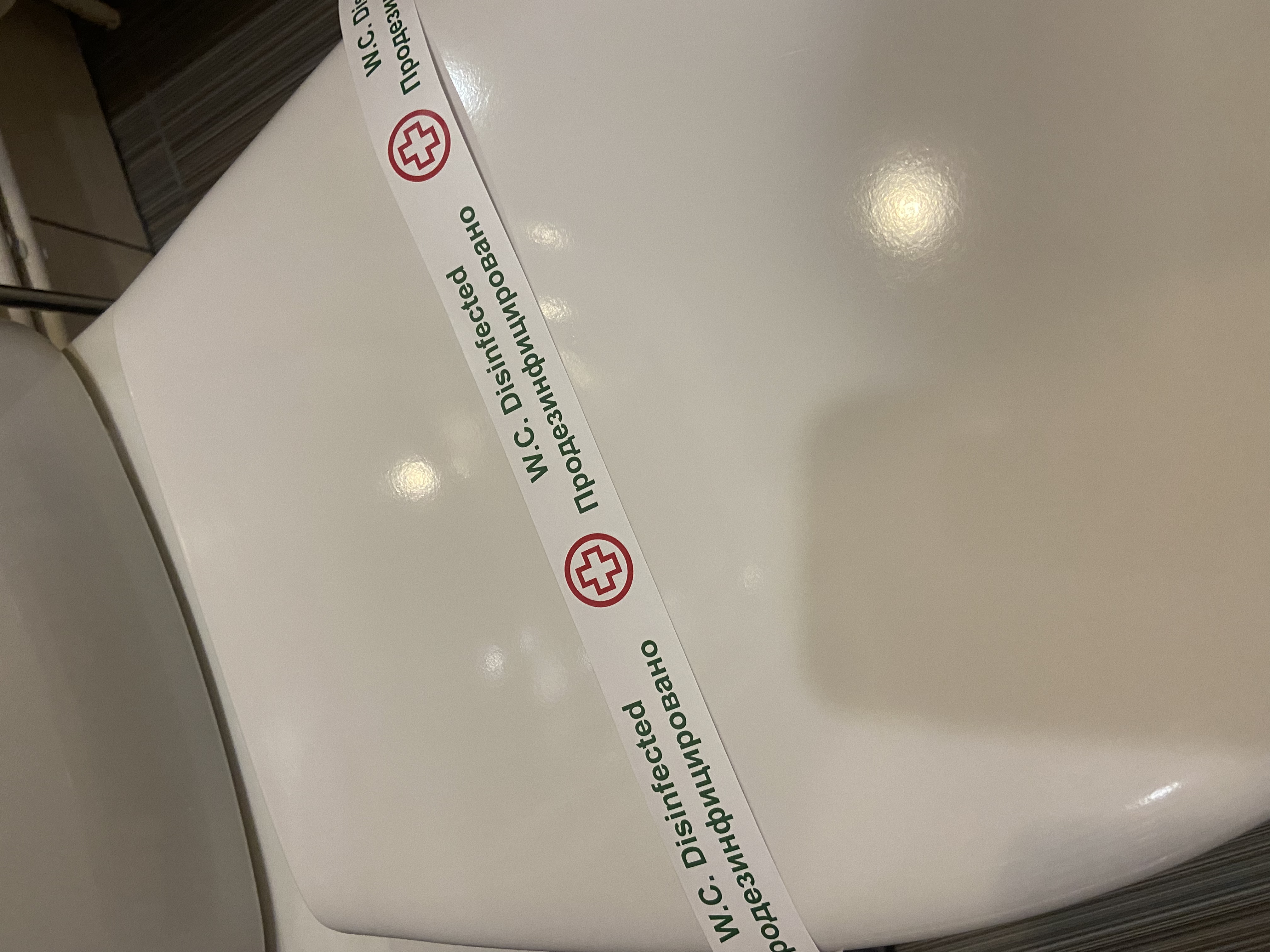 Фото Кот и кошка