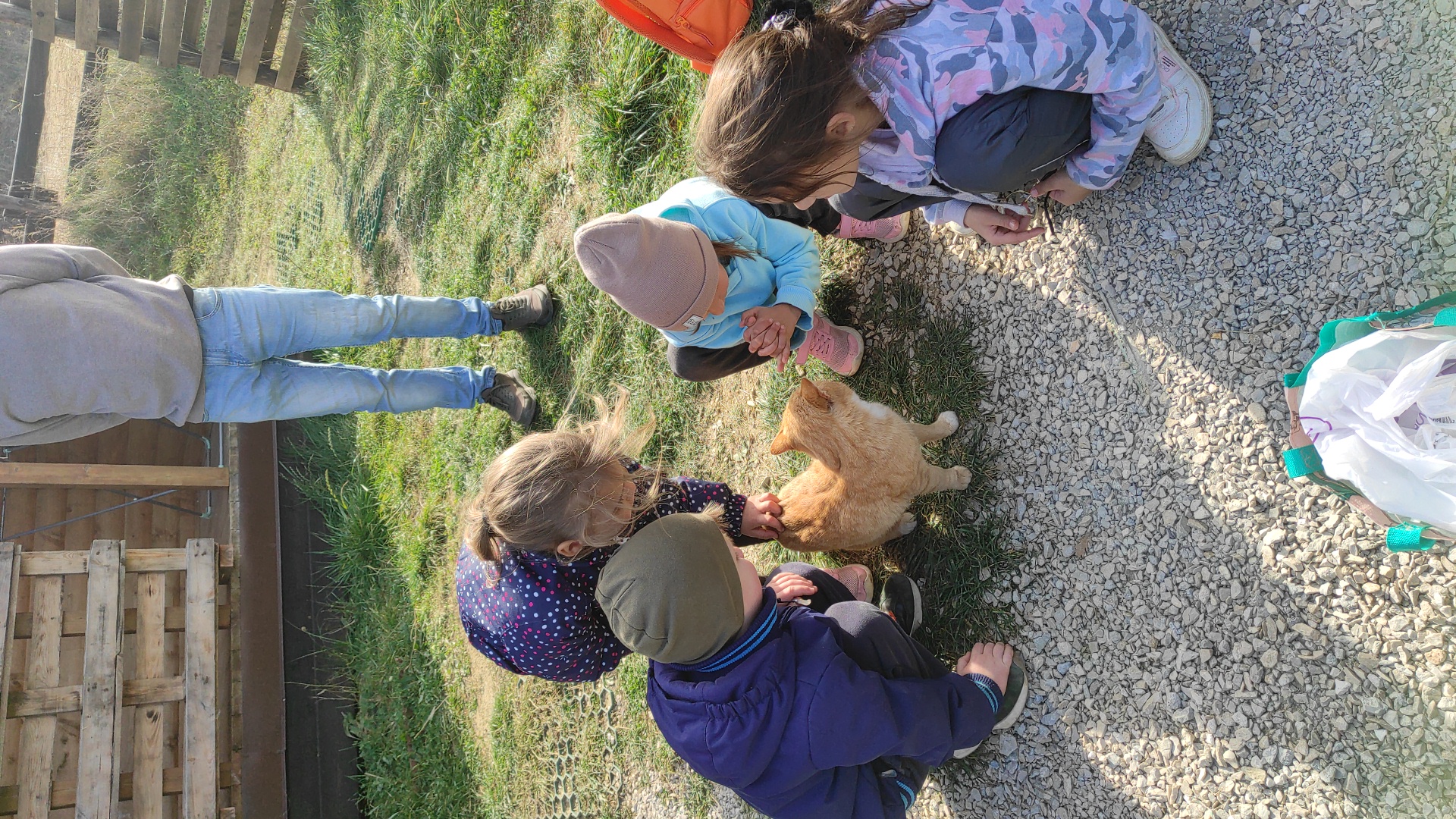 Фото Тихое Место