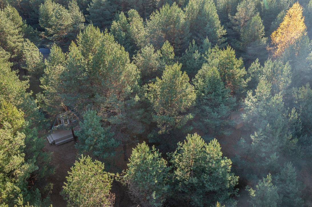 Фото КэмпФалькон