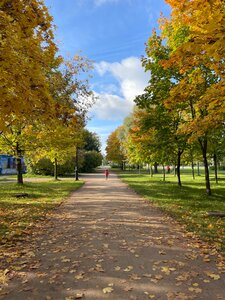 Смотровая площадка (Saint Petersburg, kholm) ، مكتب مراقبة
