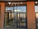 Papyrus (Maksima Gorkogo Street, 23А), tienda de papel pintado