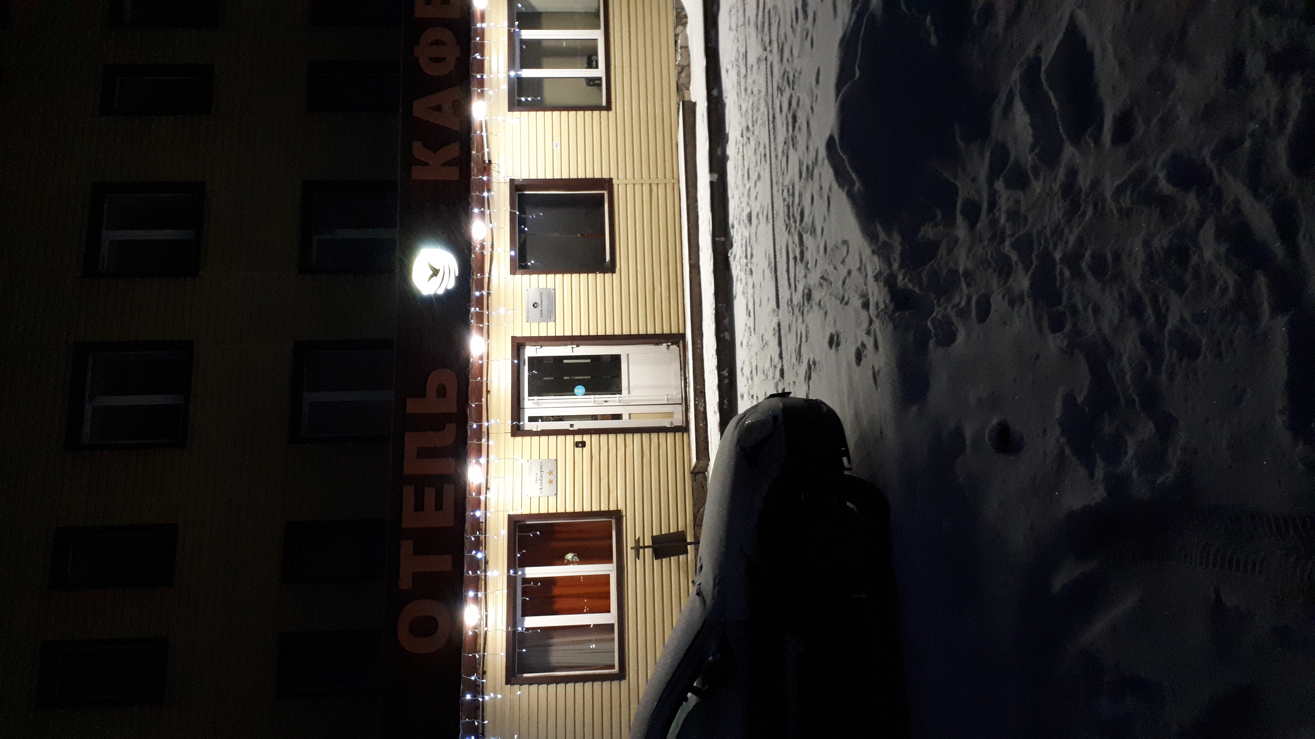 Фото Альбатрос