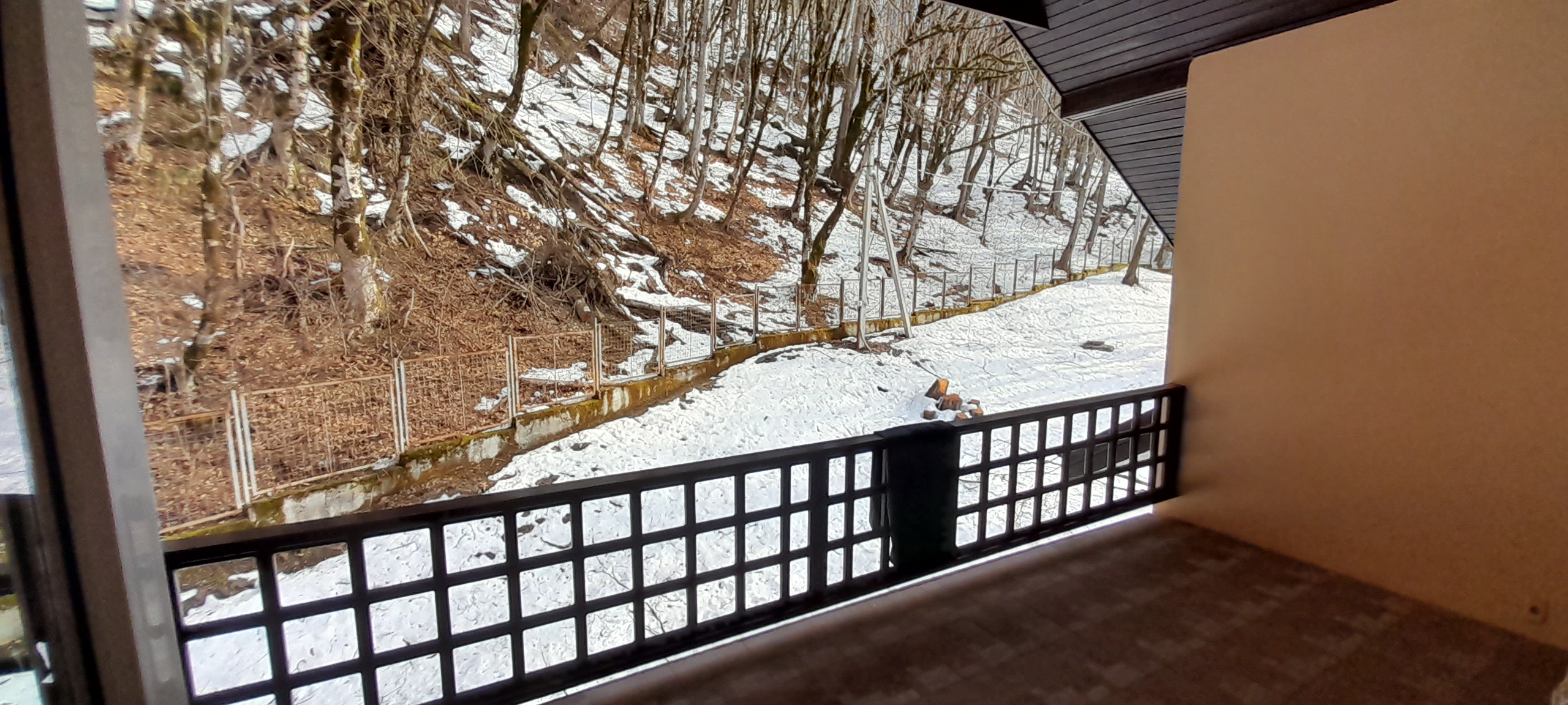 Фото Легенда Спорта