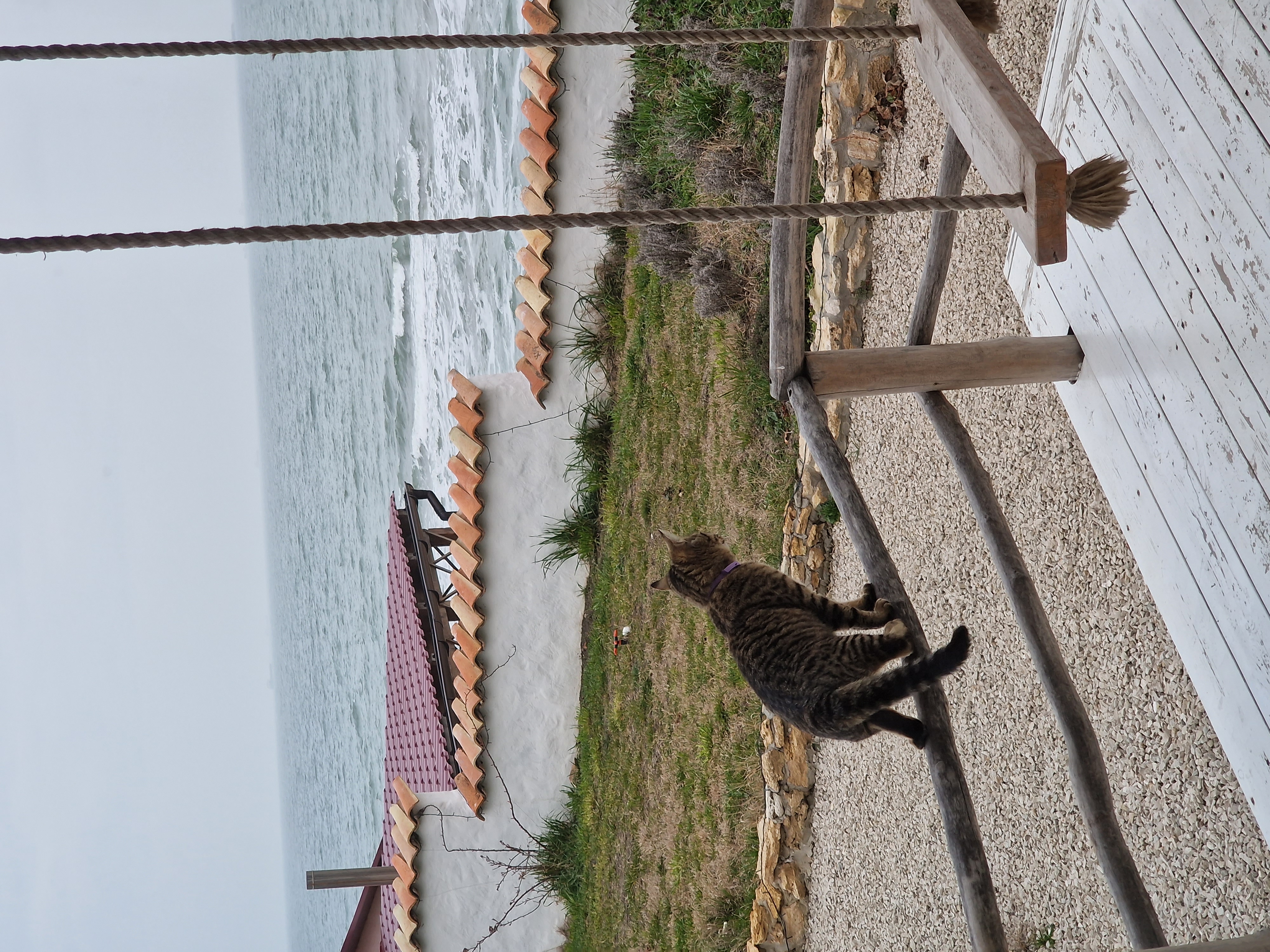 Фото Moreya eco bungalow