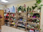 Дом цветов (Kominterna Street, 46), flower shop