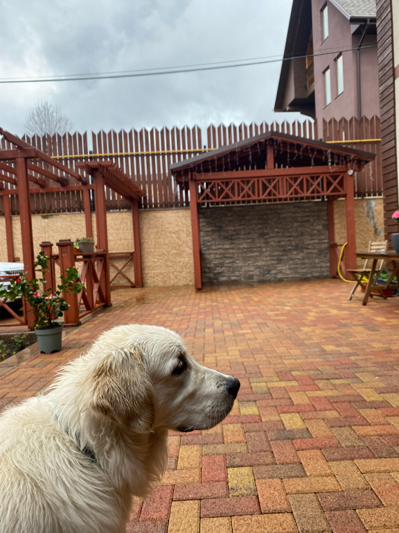 Фото Атмосфера