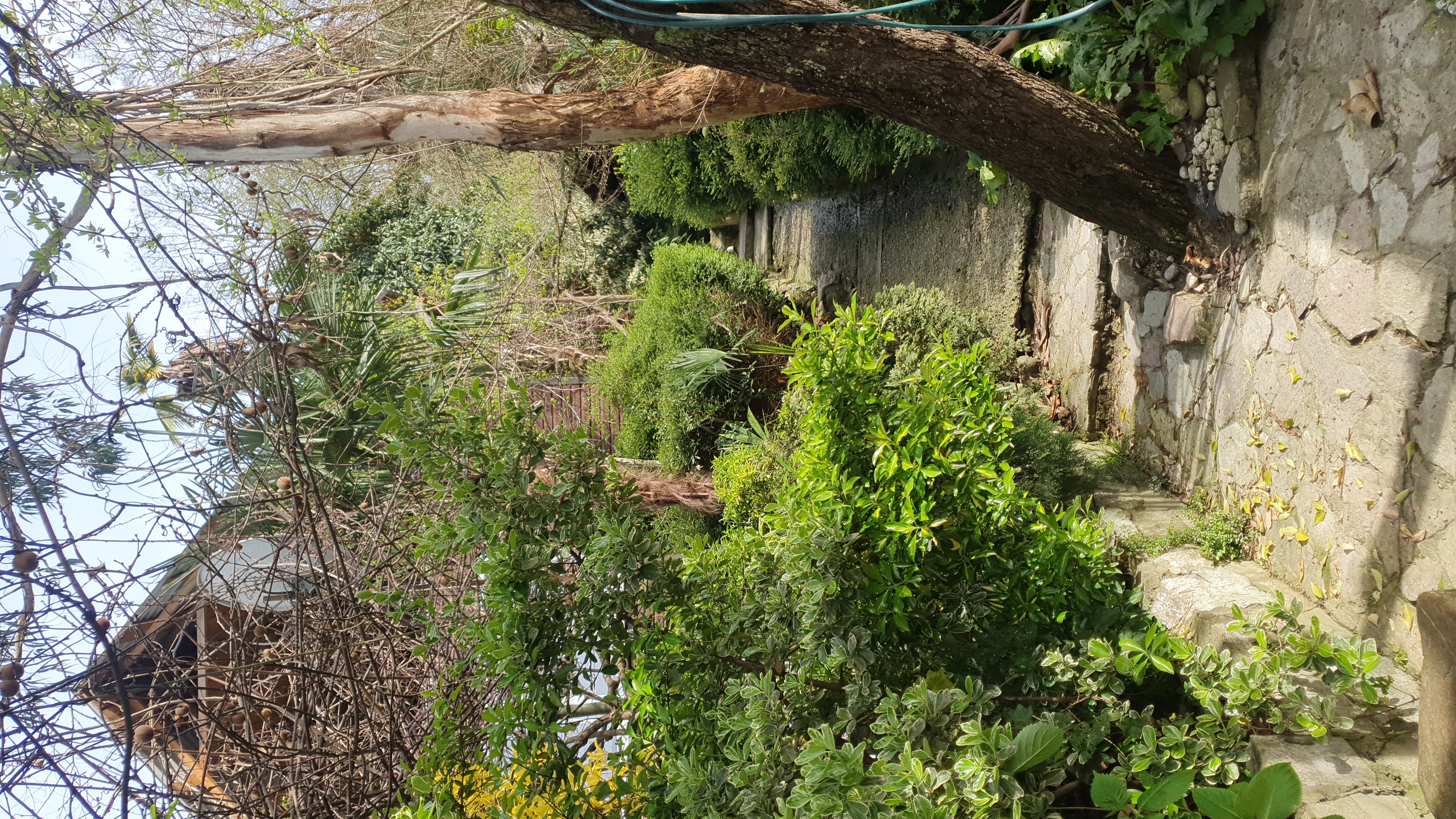 Фото Тихий дворик