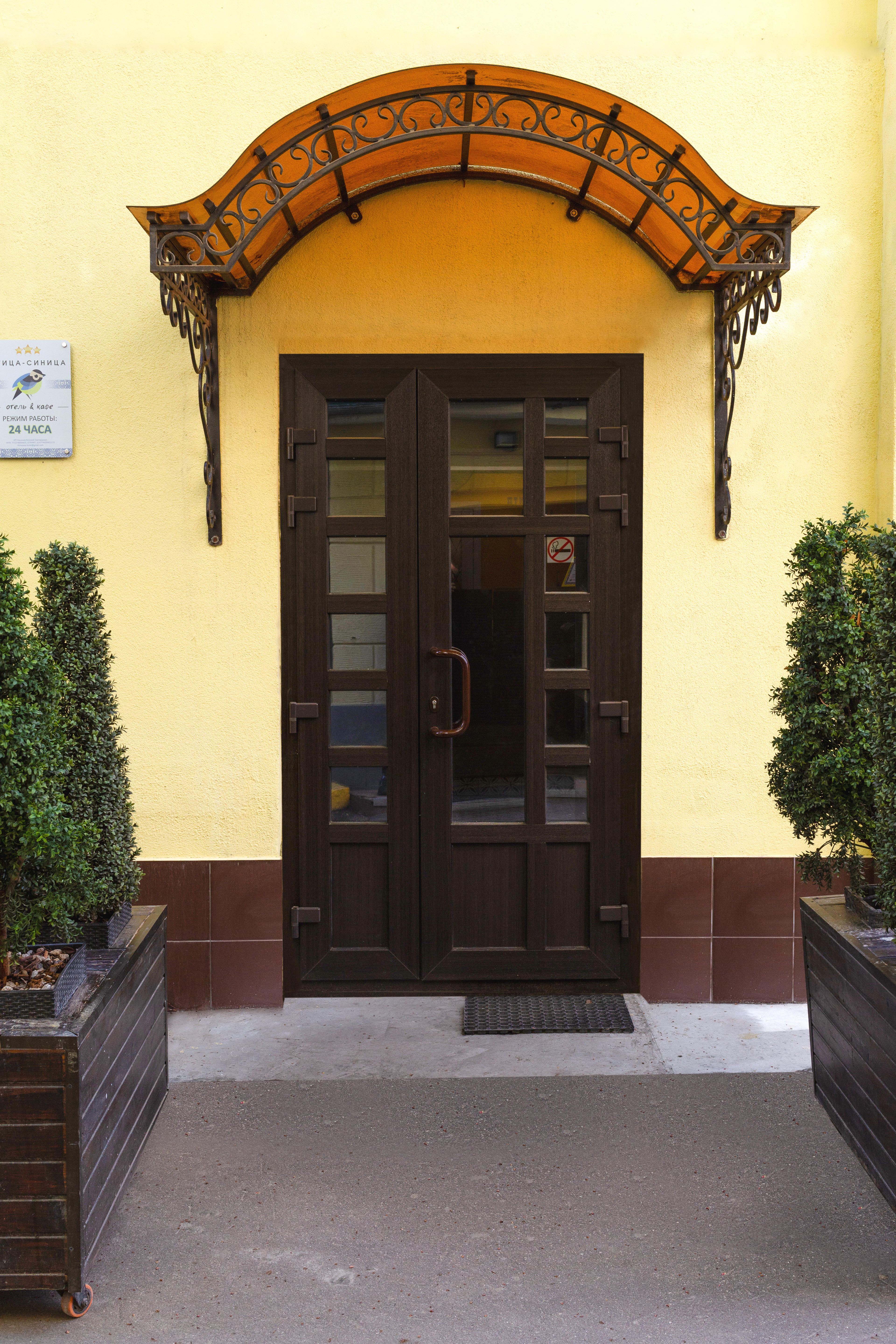 Фото Птица-Синица