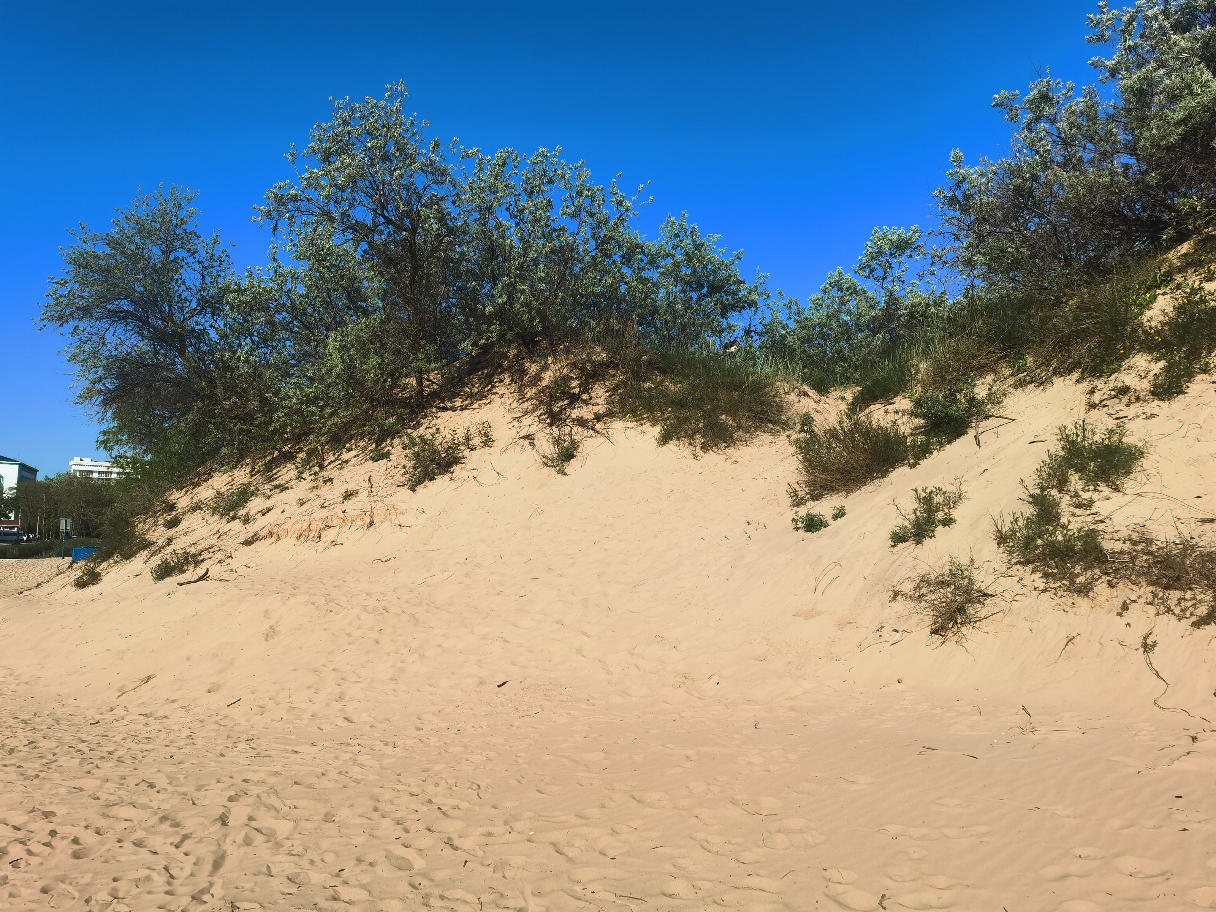 Фото Милана