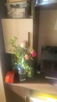 Цветы (Osinovo Village, ulitsa Komarova, 2А), flower shop