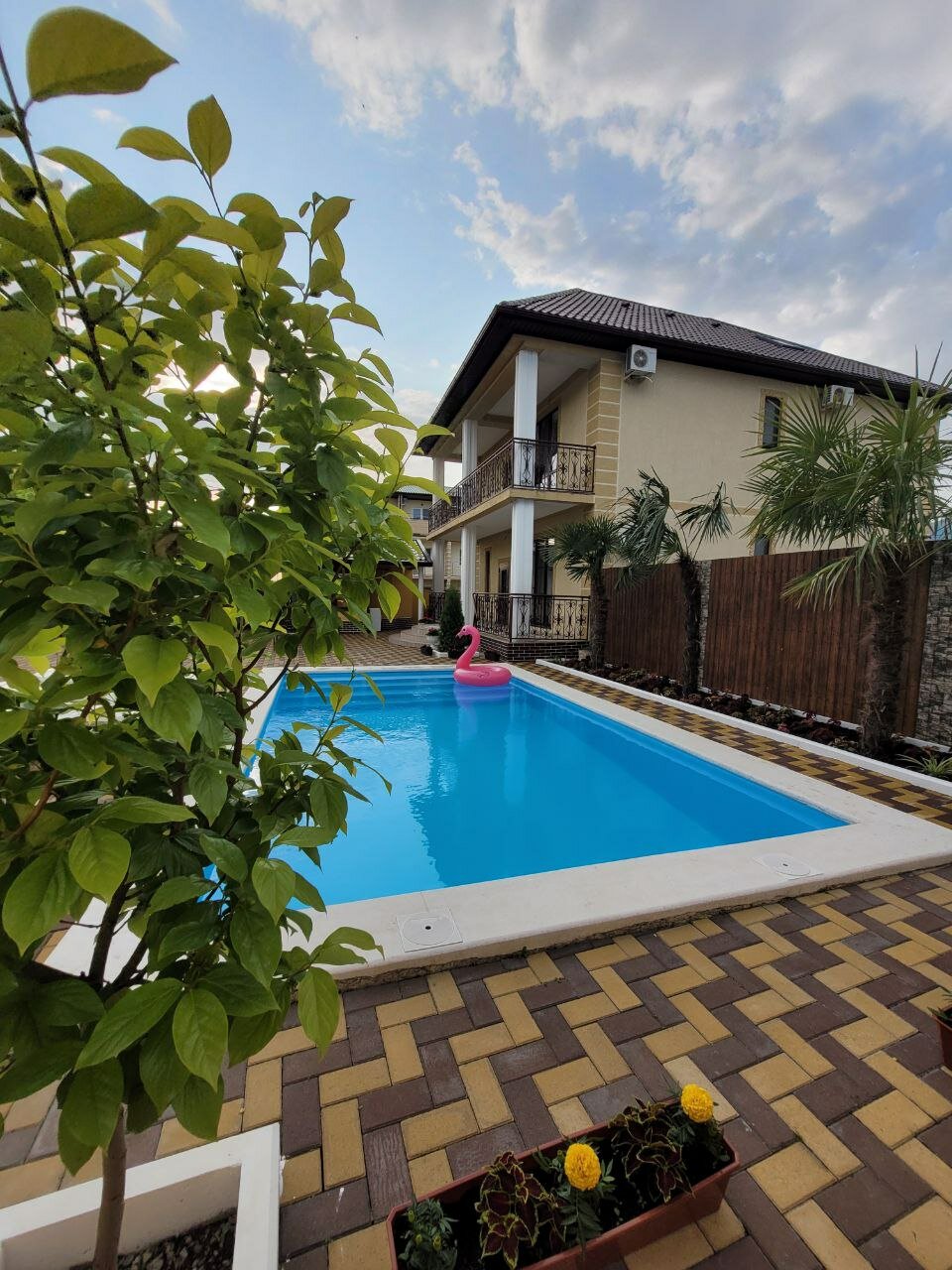 Фото Мандарин