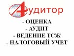 Аудитор (Internatsionalnaya ulitsa, 33), audit company