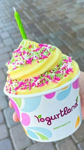 Ice cream Yogurtland, Dubai, photo