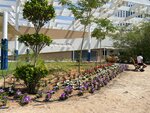 Lycee Louis Massignon (10, Al Jazzay Street, Al Zahraa, Abu Dhabi), private school