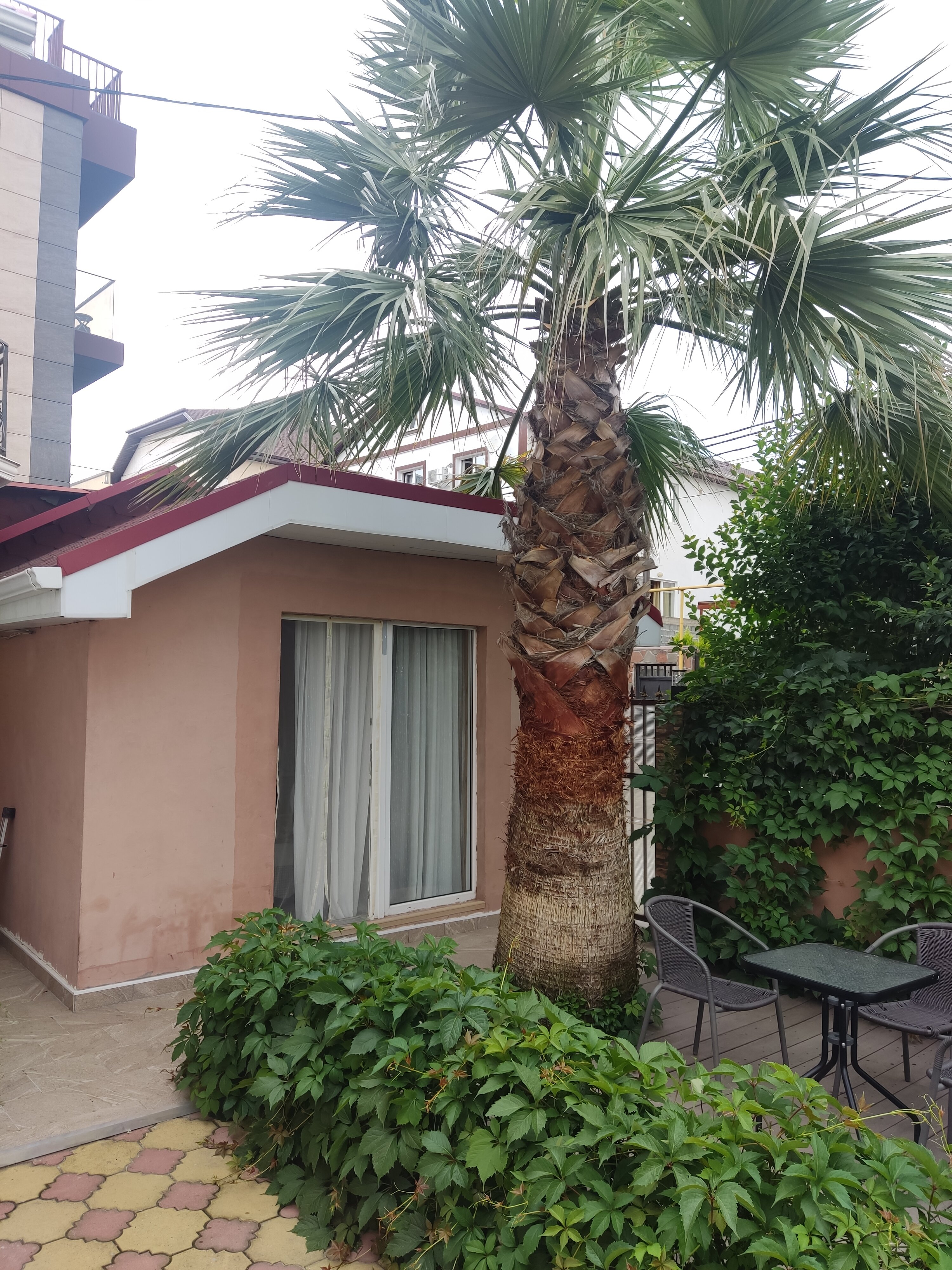 Фото Каникулы души