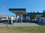 Октан (Mira Avenue, 46), gas station