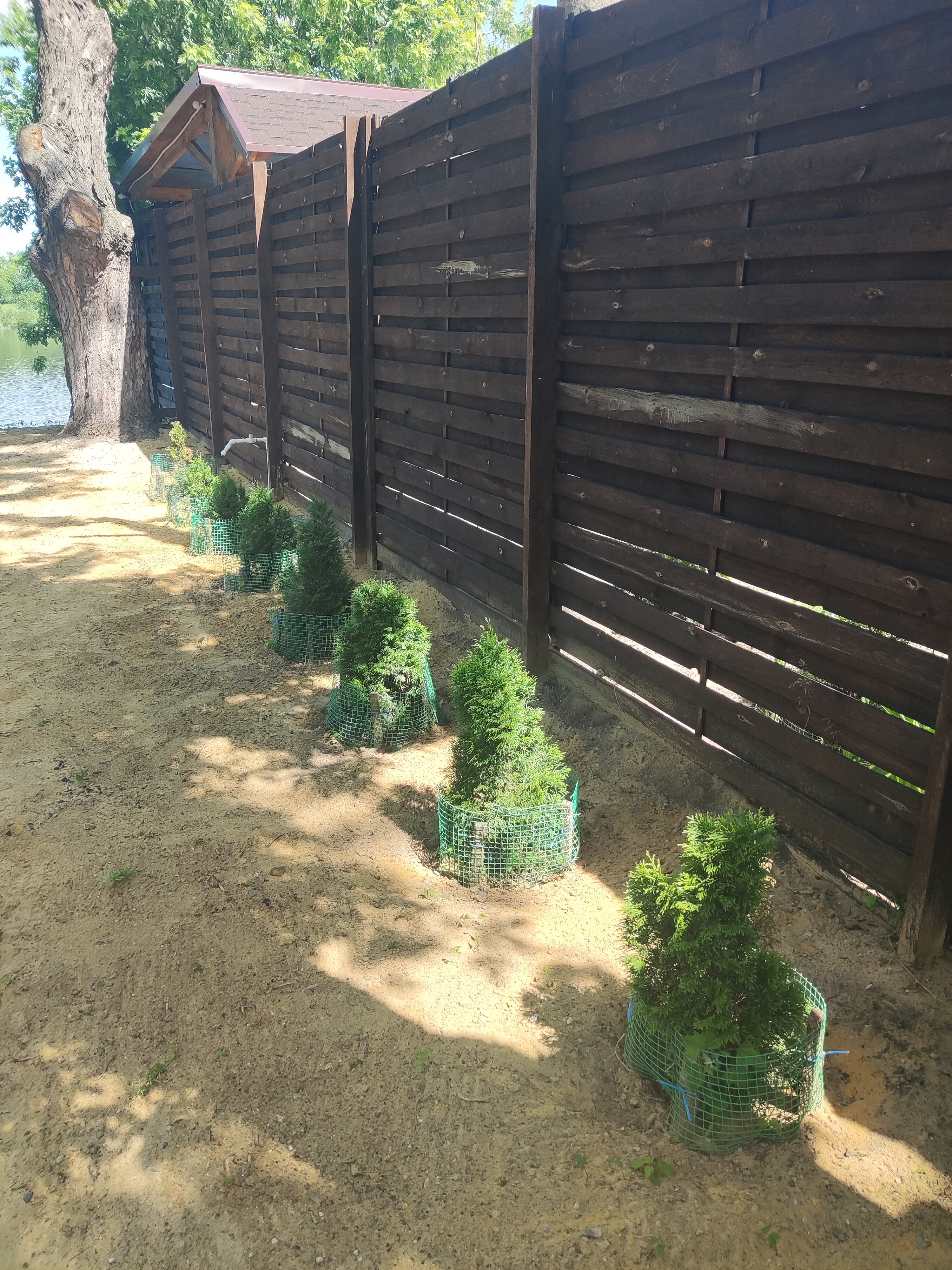 Фото Белуга