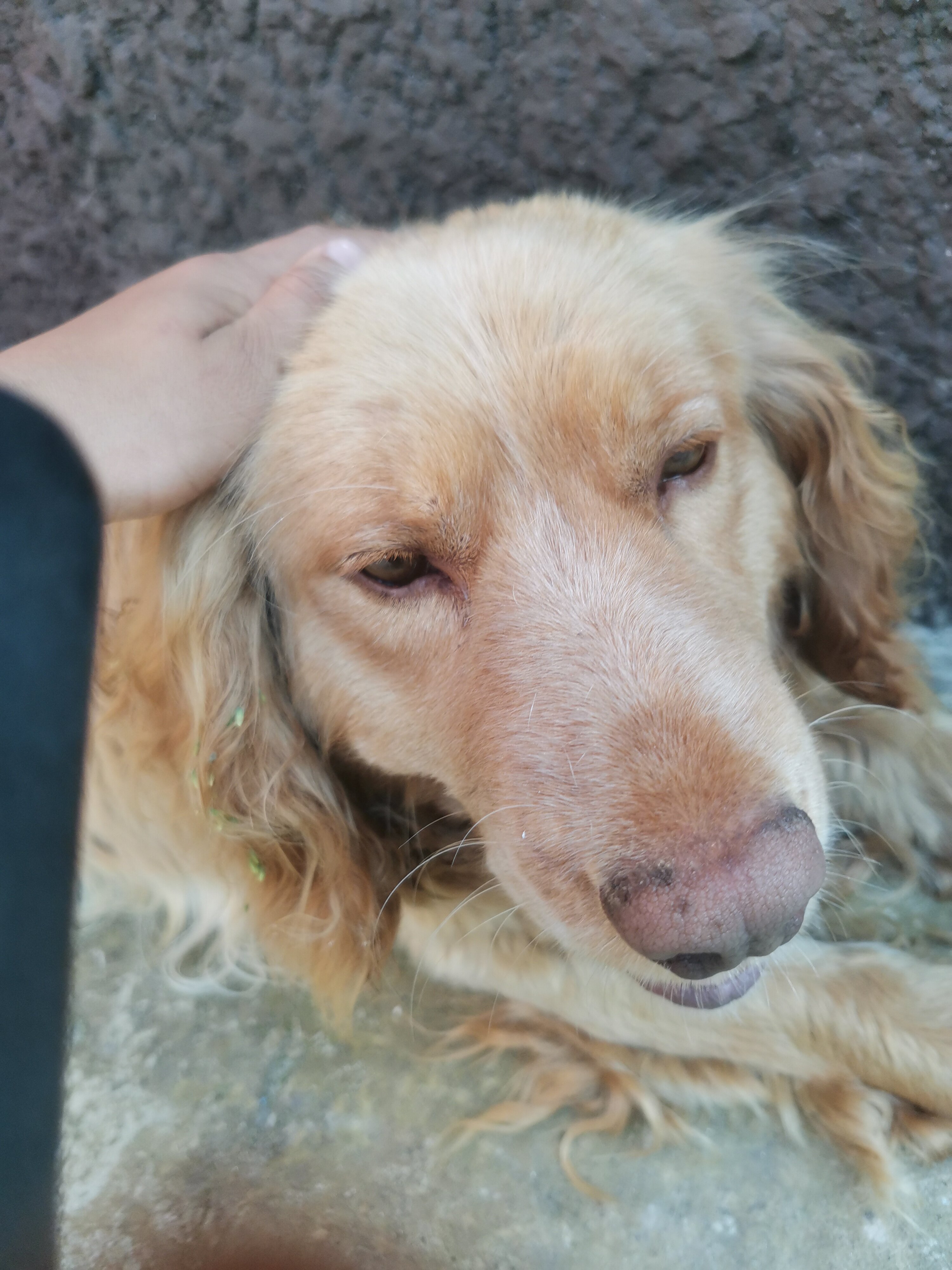 Фото Клуб путешественников