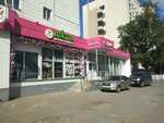 Floristan (Amirkhana Yeniki Street, 1/51), flower shop