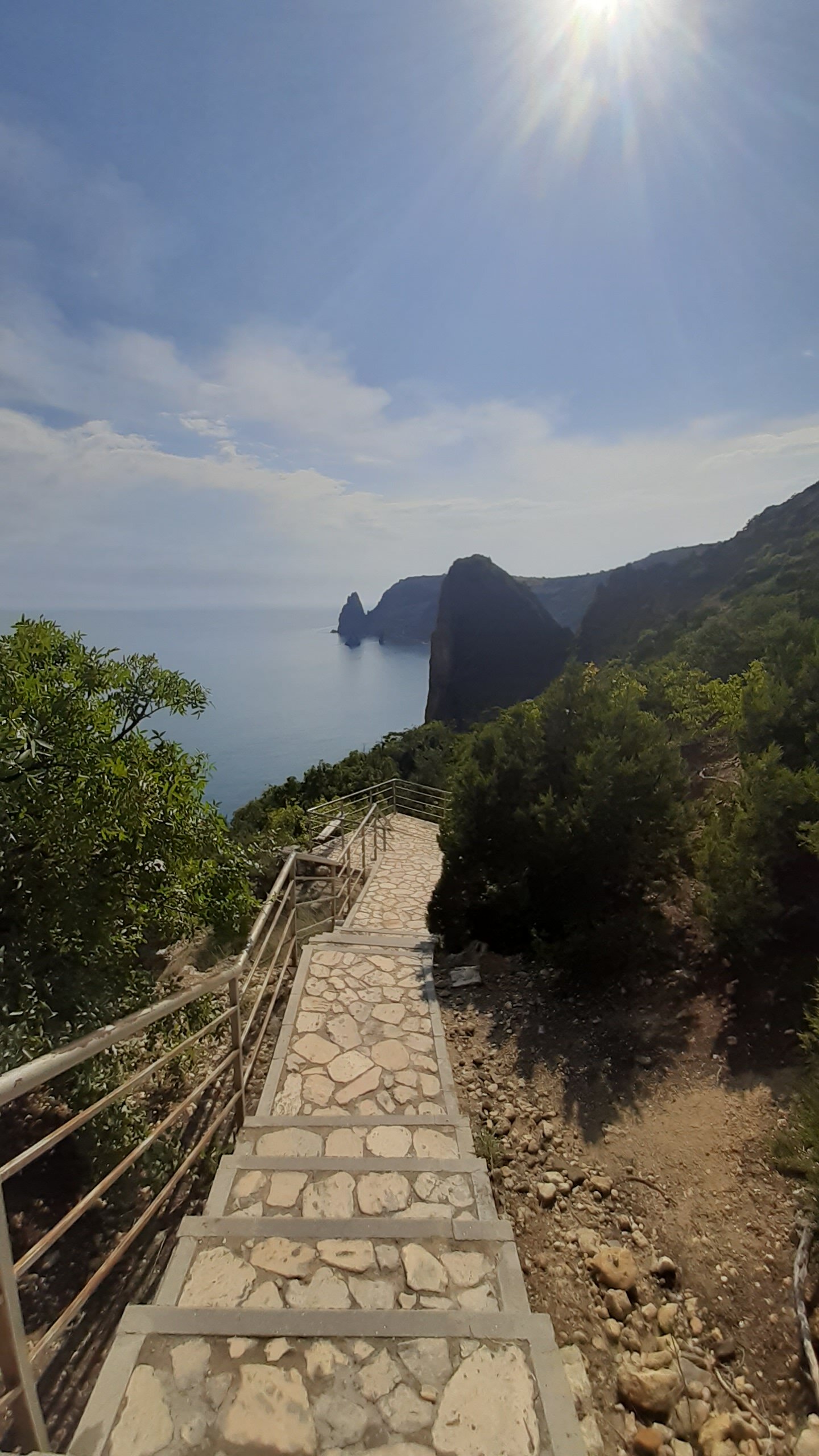 Фото Афалина