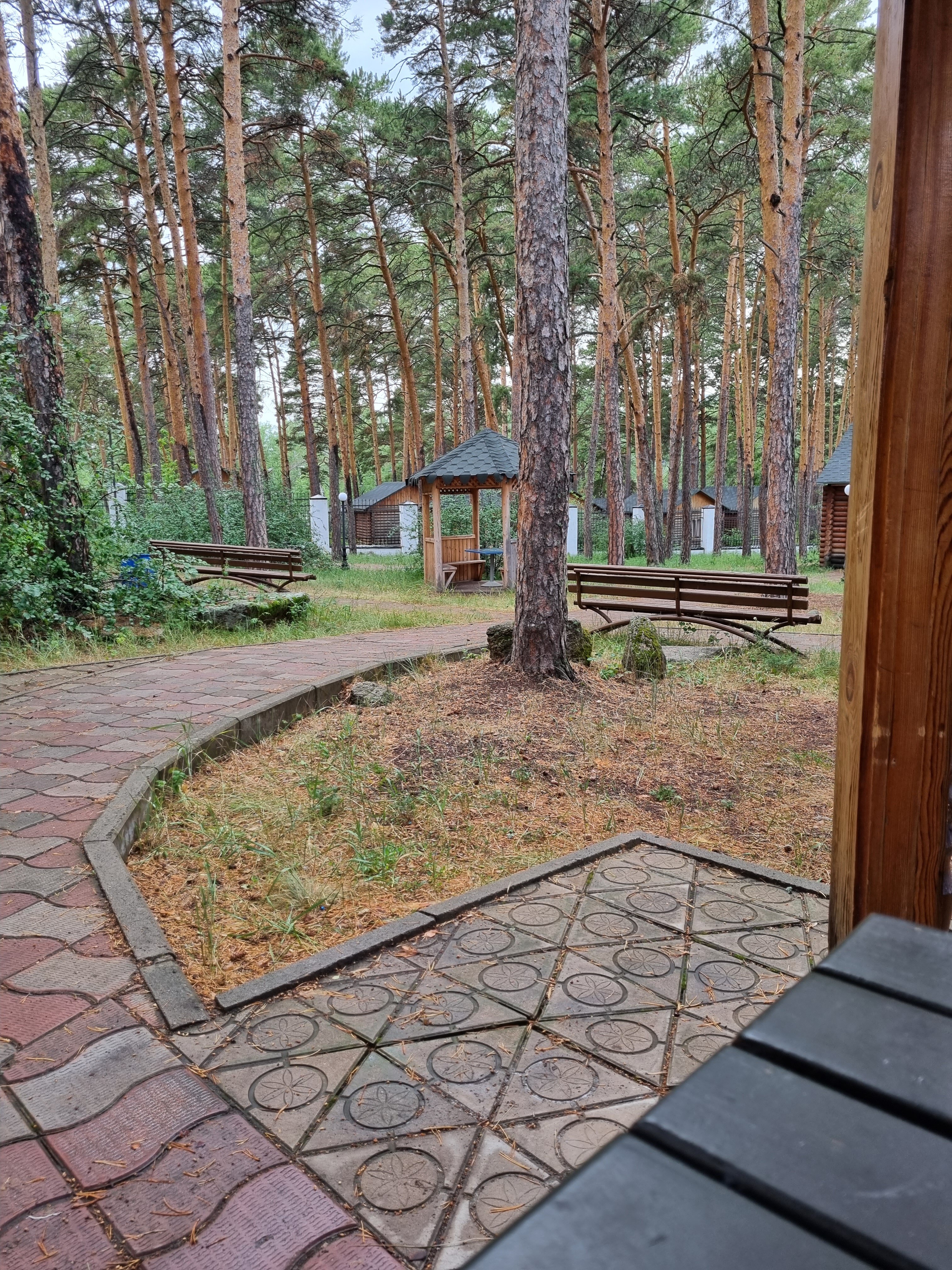 Фото Кокшебел