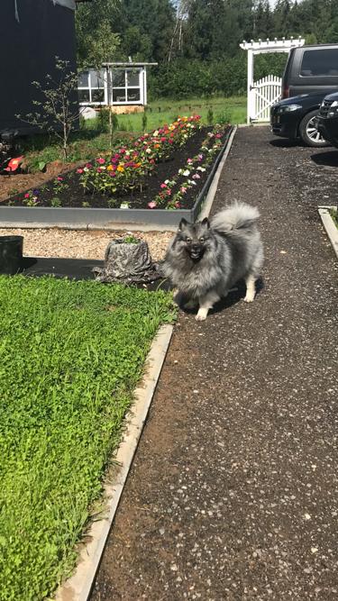 Фото Прованс