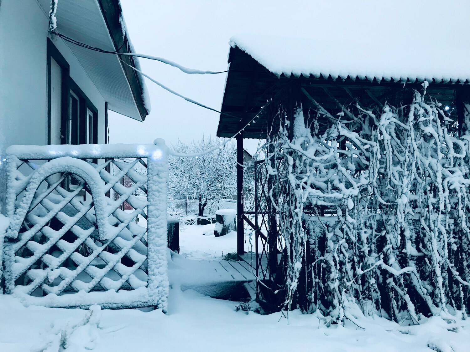 Фото Три Галки