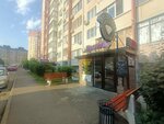 Belyy Slon (Vostochno-Kruglikovskaya Street, 48/1), legal services