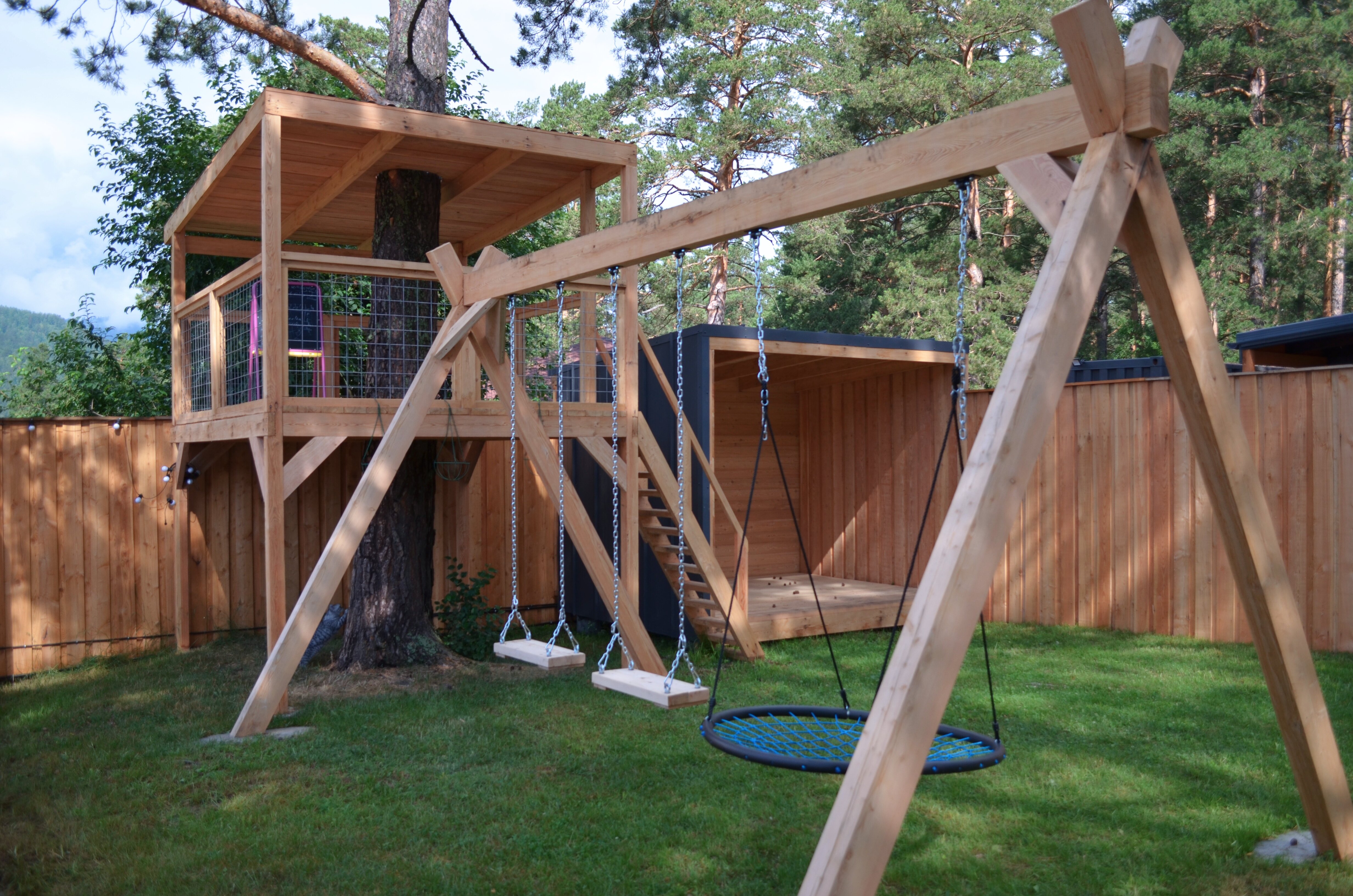 Фото Лес ДО небес