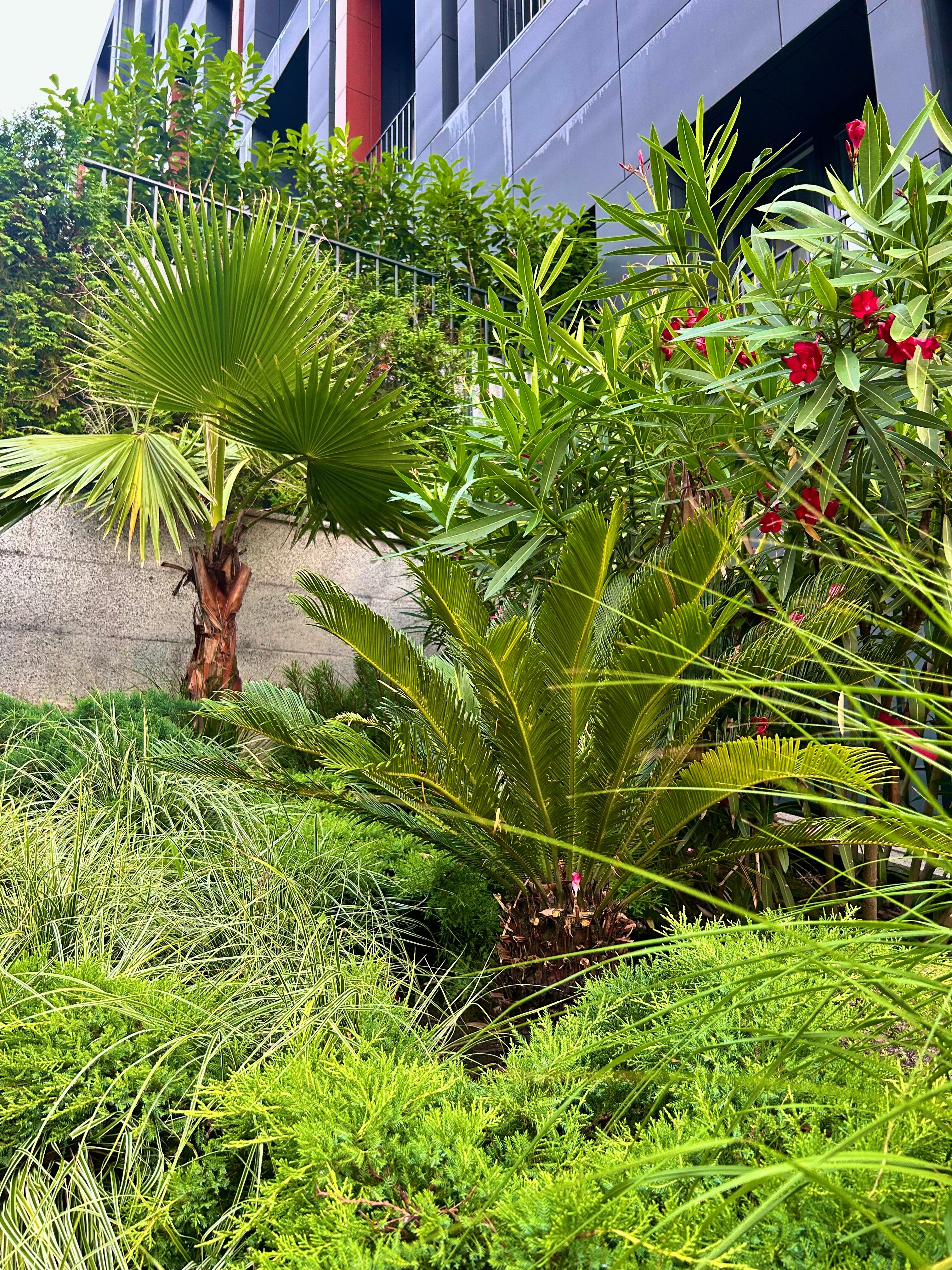 Фото Лиссабон Неолит