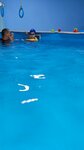 Нептун (ulitsa Yu.A. Gagarina, 30), piscina