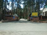 КПП (Novosibirsk, Dachnoye shosse) ، مكتب تراخيص الدخول، وظيفة الأمن