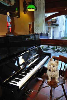 Фото Vallée Blanche Hotel